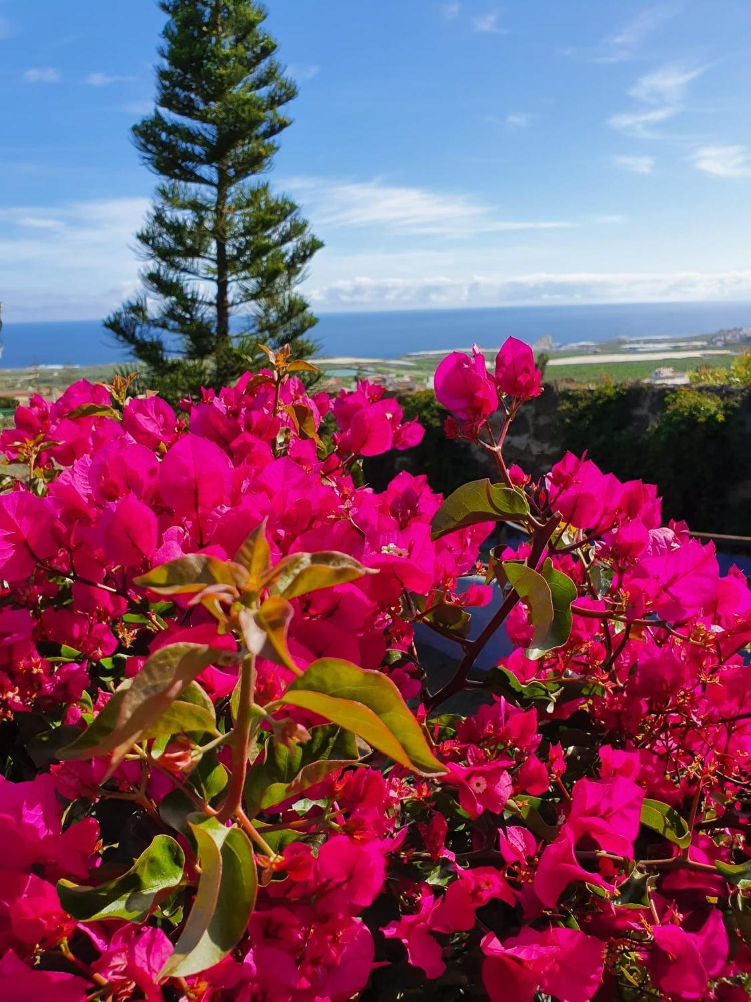 Finca Las Mariposas Лос-Силос Экстерьер фото